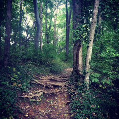 out of the woods (taylor swift cover)