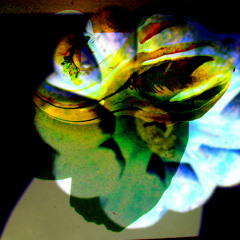 Wanna Get Paid Pinot Greege Mix