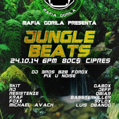 JeffStep   Jungle Beats