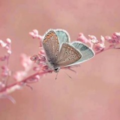 قَمرٌ سِيدنا النبي وَ جمِيل ♥