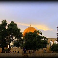 صَبــاحِ الخِير يَ بـلادِي ♥ ♥