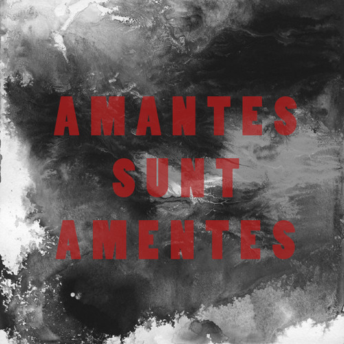 Amantes sunt amentes. Амантес сунт Аментес. Amantes sunt AMENTES картинки. Amantes sunt AMENTES перевод. Amantes AMENTES надпись.