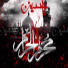Ali Deep Rizvi 2015,