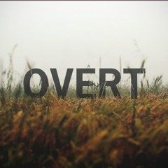 WoodJu -  overt