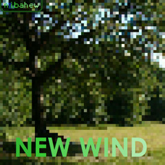 New Wind