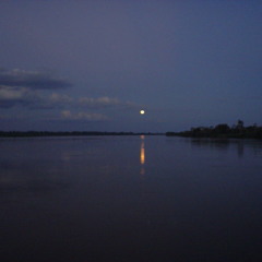 Fieldrecording: Nighttime in the Peruvian Amazon rainforest