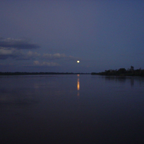 Fieldrecording: Nighttime in the Peruvian Amazon rainforest