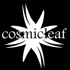 [PREVIEWS] Cosmicleaf.com Records