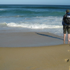 tomorrow's epiphany - The Tide Rises, the Tide Falls