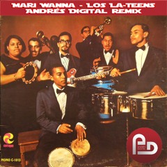 MaryWanna (Andrés Digital Felizidades Cassette Remix)