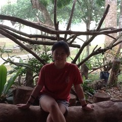 Set Fire To The Rain