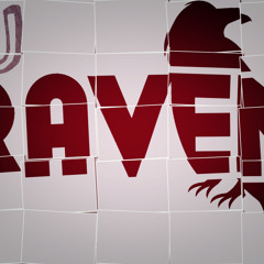 DJ Raven - Let's Get F*cked Up on April 2014