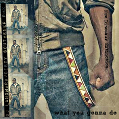 New Dinosaur Extinction - What U Gonna Do- RMX DJ Landmarks/Dirty Southener/DJ Canvas