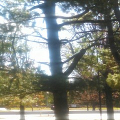 Slim - Nahhh Nah (prod by TRR)