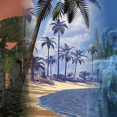 OmniVision Plus (Upcoming on Paradise//Paradise Artwork by Syllabus)