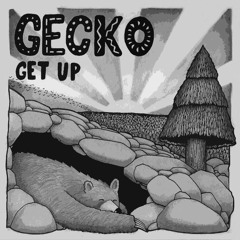 Gecko-Get up