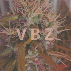 VBZ