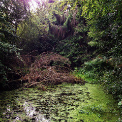 House Of Traps - Murkish Delight MIx