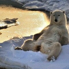 Chillen out