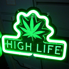 DnB leef