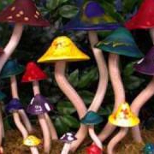 StörKlänge- Goa Goa Mpu