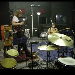 Mothman (Tom Vernon band)