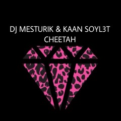 Dj Mesturik & Kaan Soyl3t - Cheetah