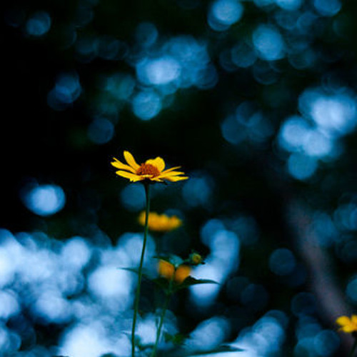 From small beginnings