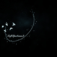 Where Did The Seaponies Go