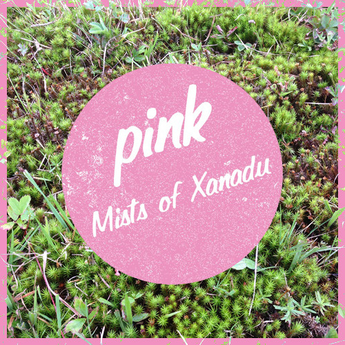 Erika Mysti Live @ Pynk in Vermont (Aug 2014)