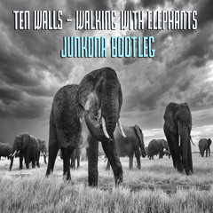 Ten Walls - Walking With Elephants - JunkDNA Remix