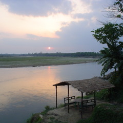Fieldrecording: Soundscape of the rainforest, tropical birds, insects, frogs etc.Chitwan, Nepal