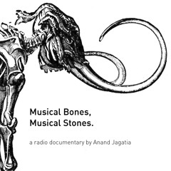 Musical Bones, Musical Stones