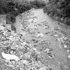 Basurales - Reciclando Rencor