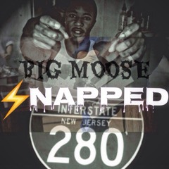 Big Moose - Snapped!!!