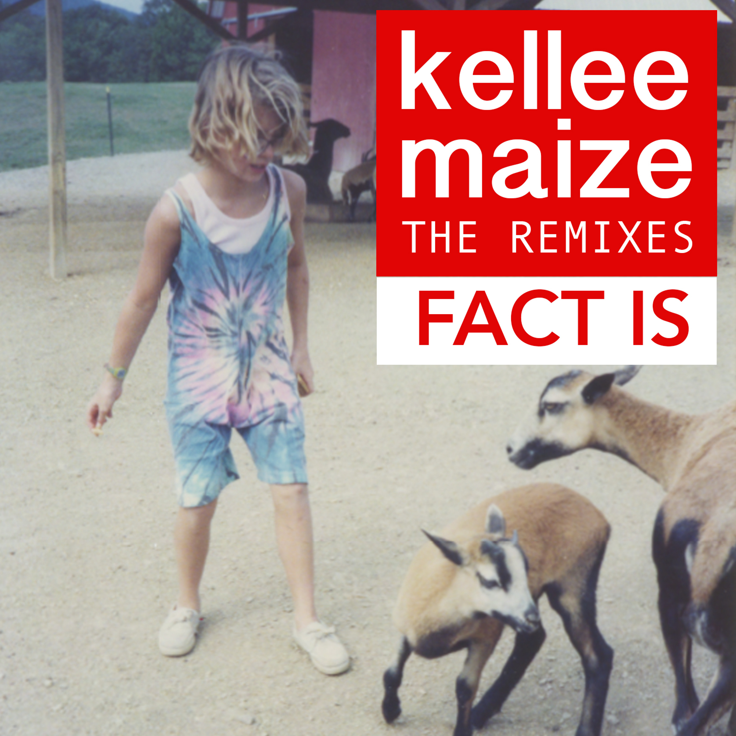 kelleemaize