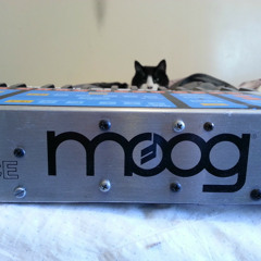 Battery Couple