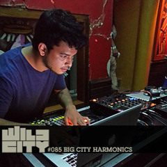 Wild City #085 - Big City Harmonics