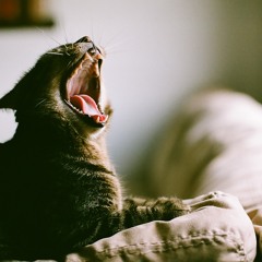 Fangs