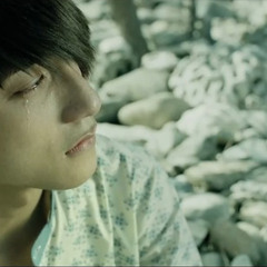 Chắc Ai Đó Sẽ Về (cover)