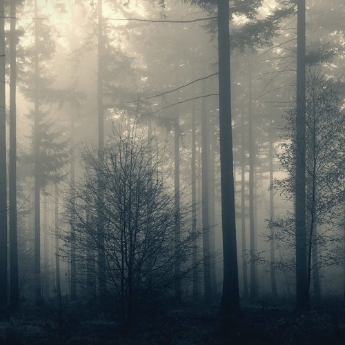 Spire - Owls [MRC006 - OUT NOW]