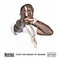 Meek Mill - Fuck You Mean ft. Lil Boosie (WoahNa Rob Freestyle)