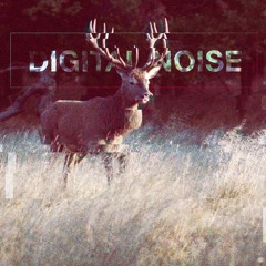 Digital noise