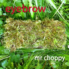 Mr Choppy