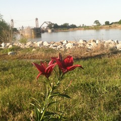 Autocracy Annhilation