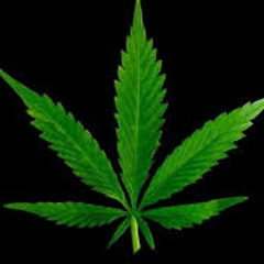 Courtney Marie "Roll It Up" Ft.Whitebear (Deadly Poets)