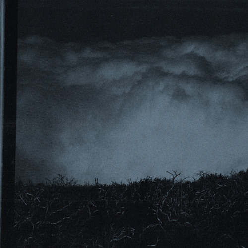 A. Jonas Kopp - Red Plented