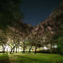 『SJD of Rock Dub』 ïtah 2009.