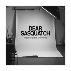 Imploring The Universe