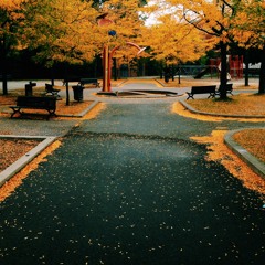 Golden Leaves of the Canadian Fall